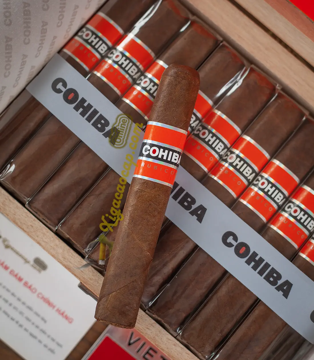 rut 1 dieu xi ga cohiba rubicon robusto tu hop chinh hang