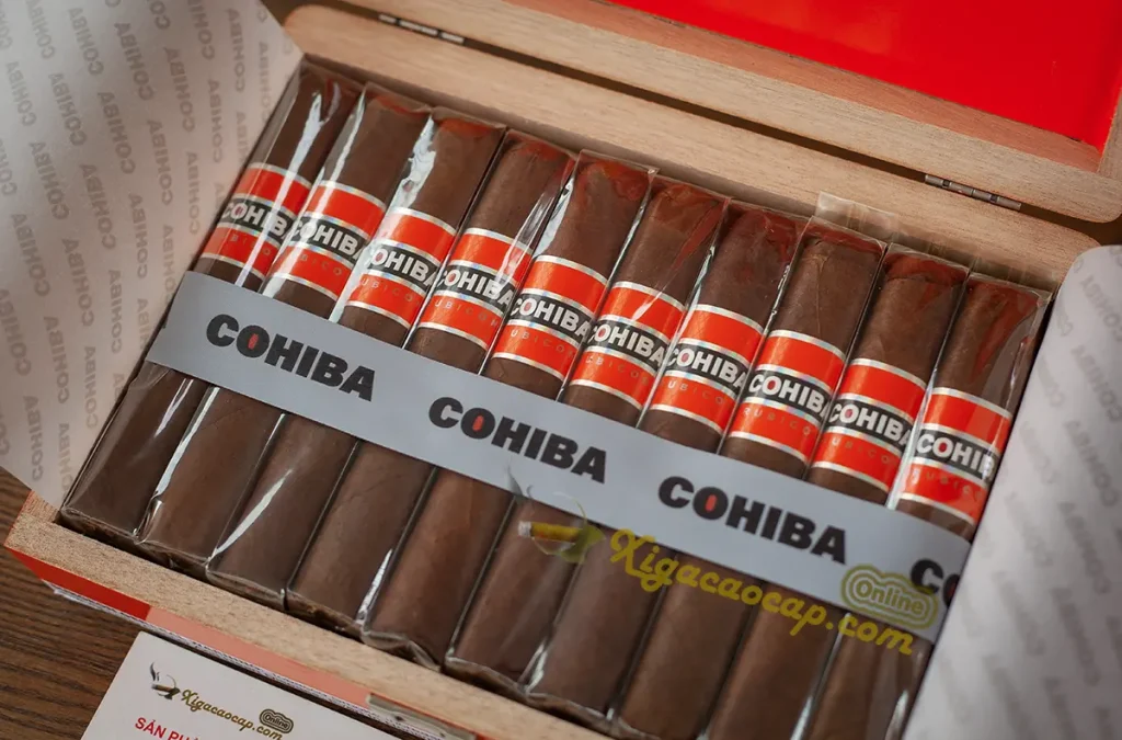 cac dieu xi ga cohiba rubicon robusto xep trong hop go chinh hang