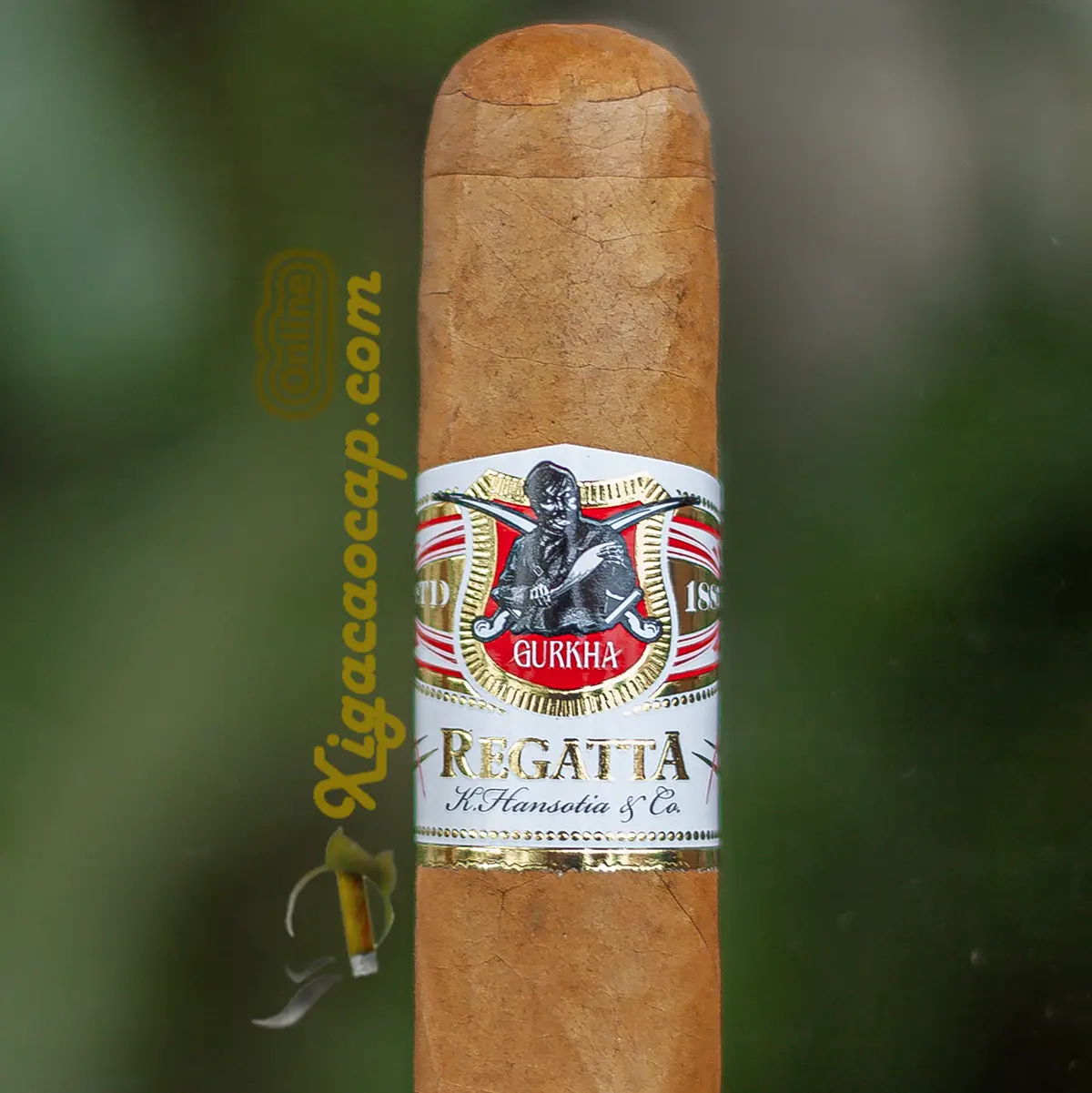 ận cảnh tem nhãn và vòng ring chính hãng của xì gà Gurkha Regatta XO