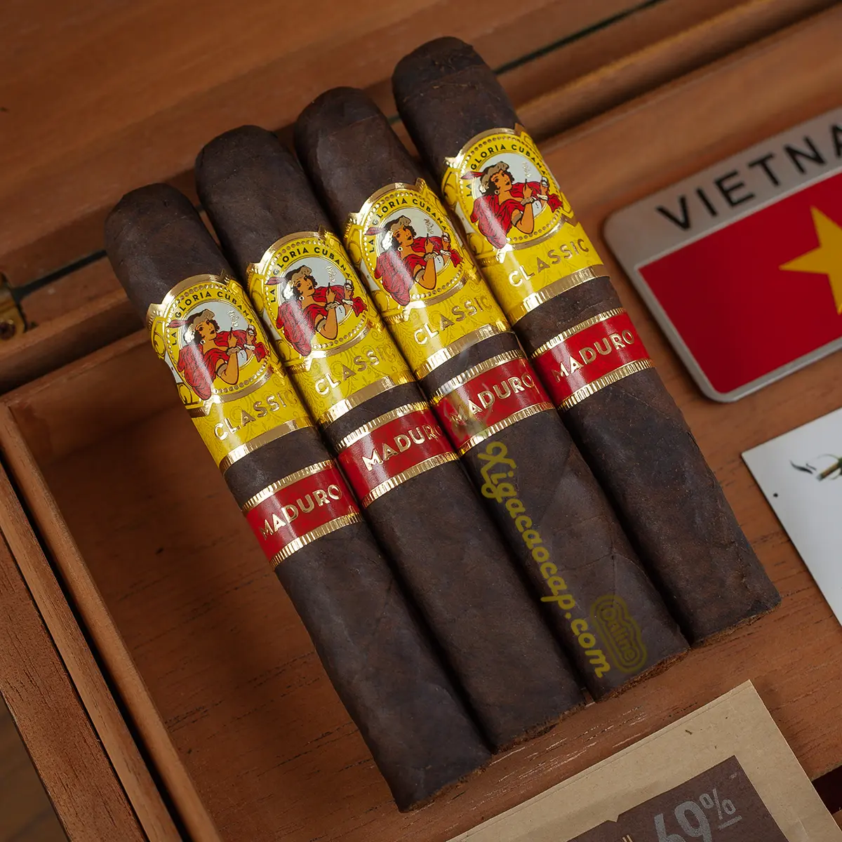 Gói 4 điếu La Gloria Cubana Wavell Maduro trong hộp giữ ẩm
