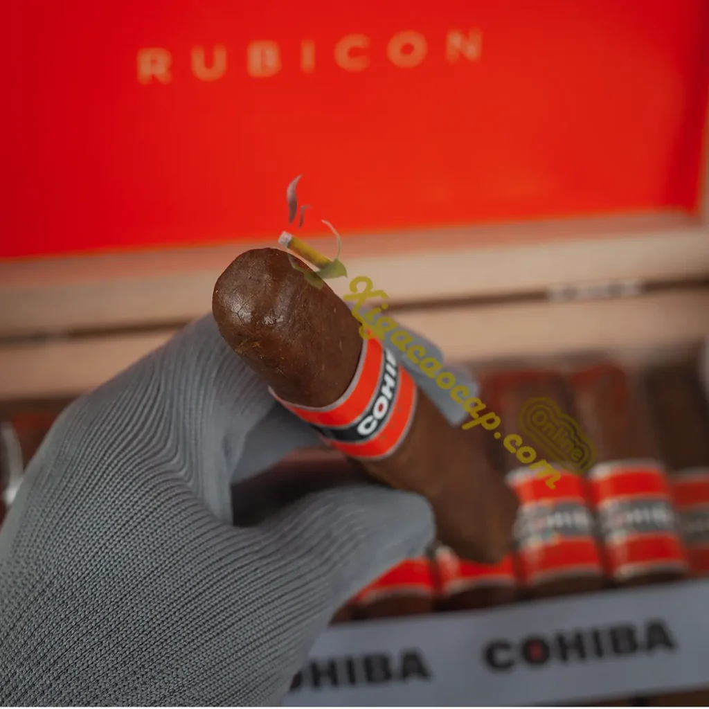 can canh dau dieu ep vuong xi ga cohiba rubicon robusto