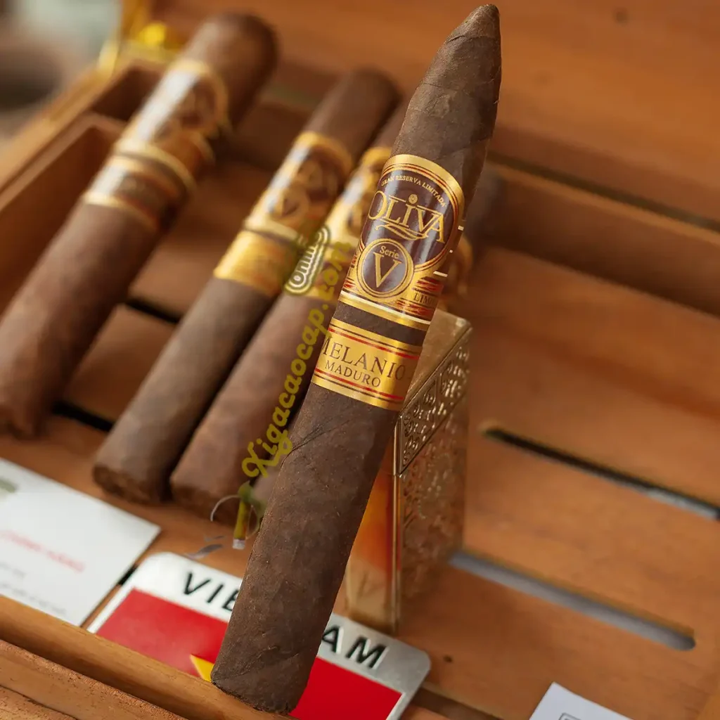 Chi tiet dau va vo la xi ga Oliva Serie V Melanio Maduro Torpedo