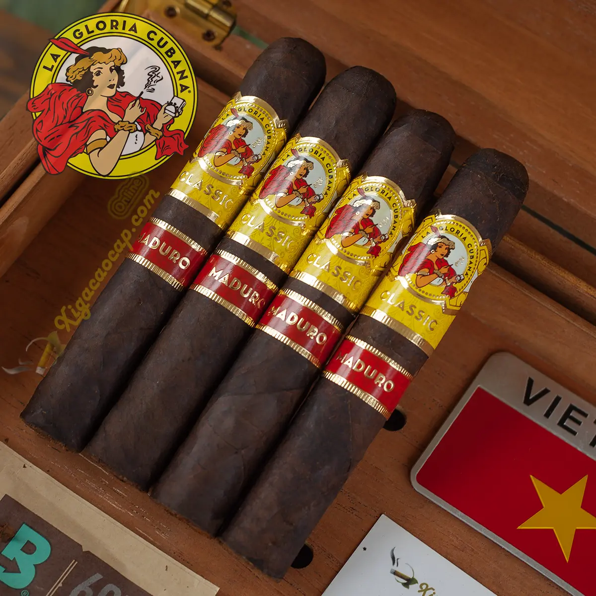 La Gloria Cubana Wavell Maduro gói 4 điếu – xì gà Robusto Maduro chính hãng