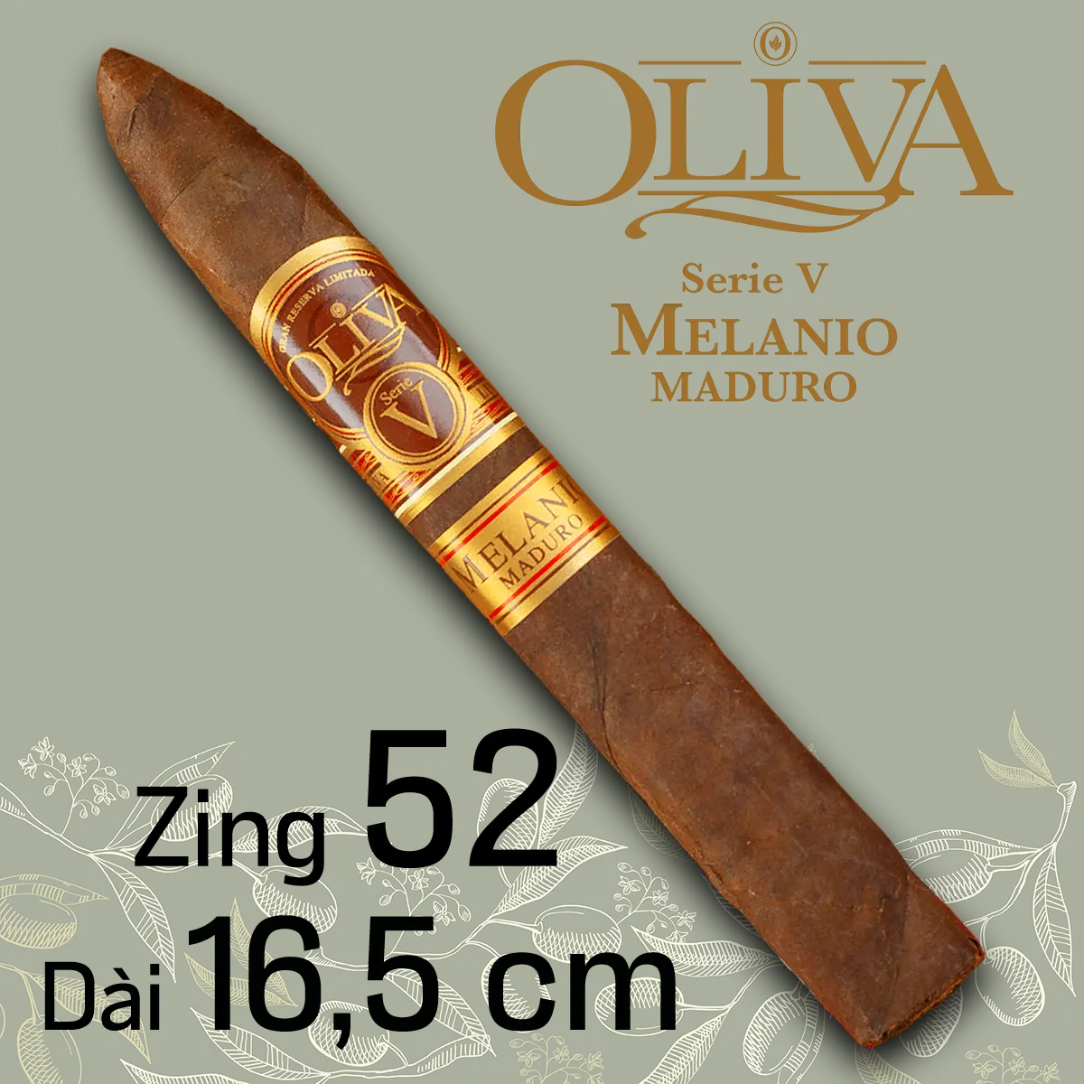 Xi ga Oliva Serie V Melanio Maduro Torpedo le 1 dieu