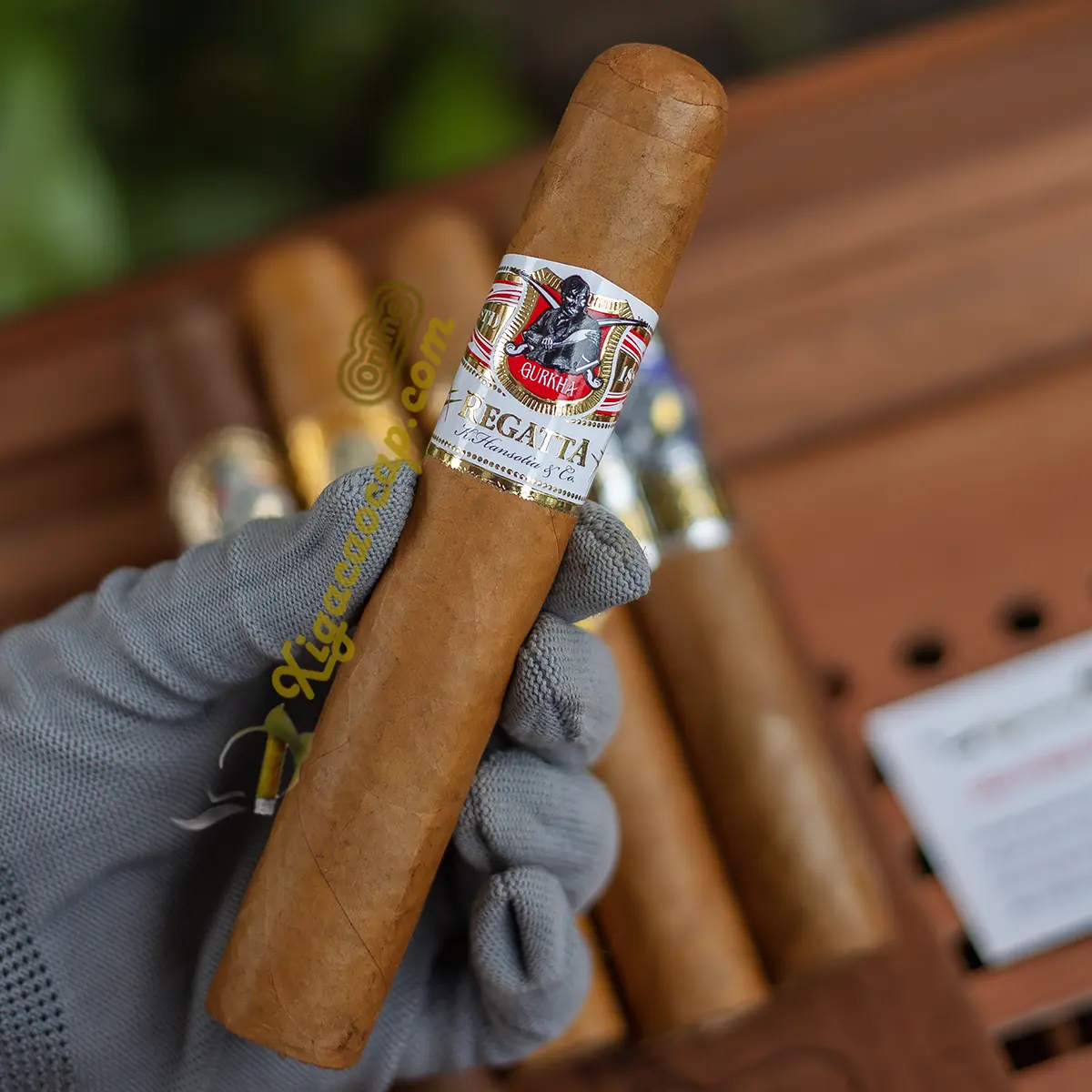 Trải nghiệm cầm trên tay điếu xì gà to Gurkha Regatta XO ring 60