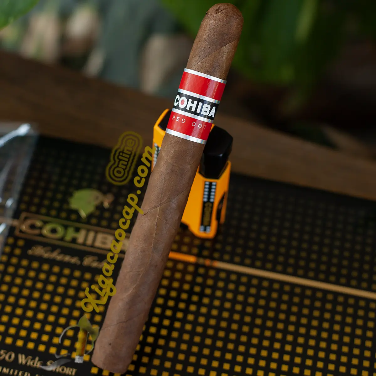 Chi tiết chiều dài 7 inch xì gà Cohiba Red Dot Churchill lẻ
