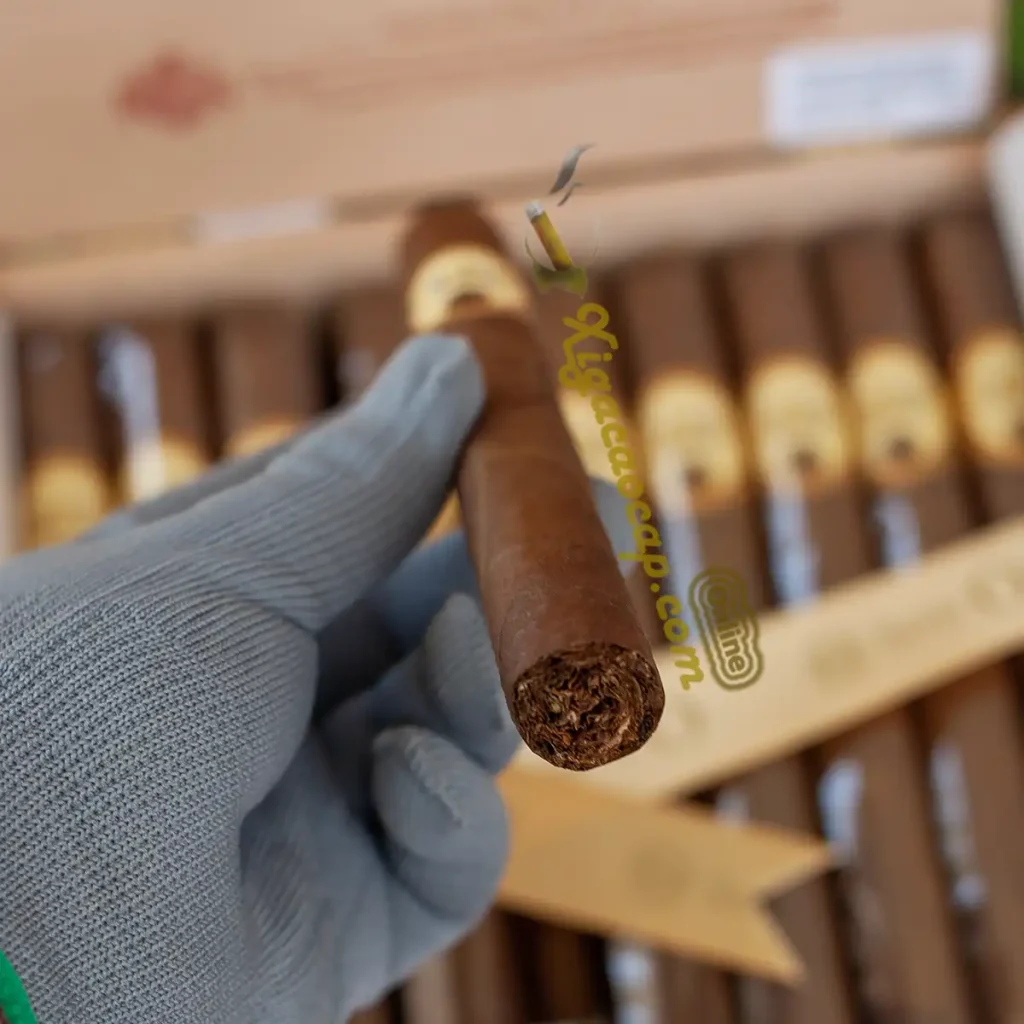 Can canh chan dieu xi ga Oliva Serie O Churchill cac lop la filler