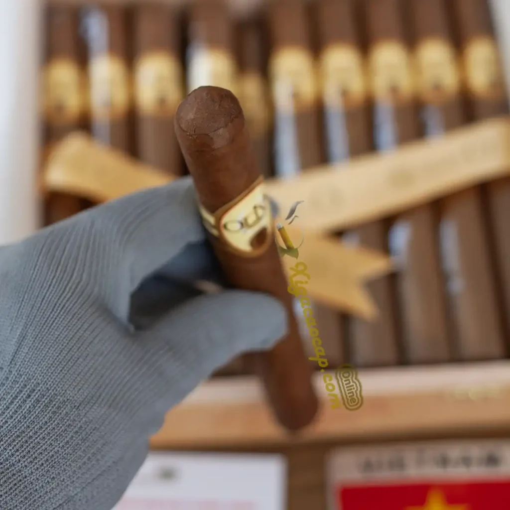 Can canh dau dieu cap xi ga Oliva Serie O Churchill