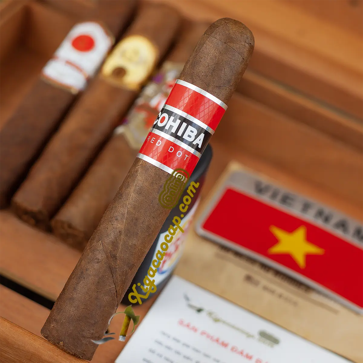 Điếu xì gà Cohiba Red Dot Robusto lá quấn Cameroon đỏ nổi bật