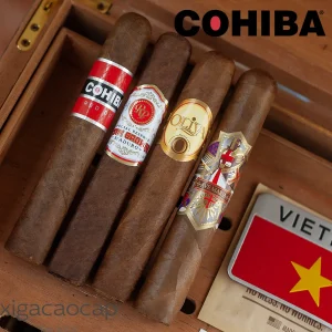 Combo 4 Điếu Xì Gà Robusto (Cohiba, Oliva, RP, Ave Maria)