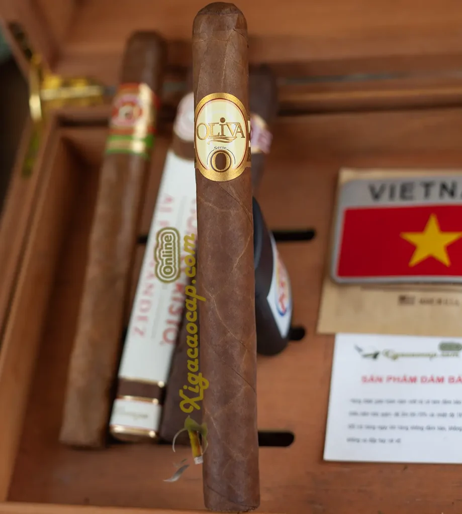 Chi Tiết Cấu Trúc Và Lá Quấn Điếu Xì Gà Oliva Serie O Churchill
