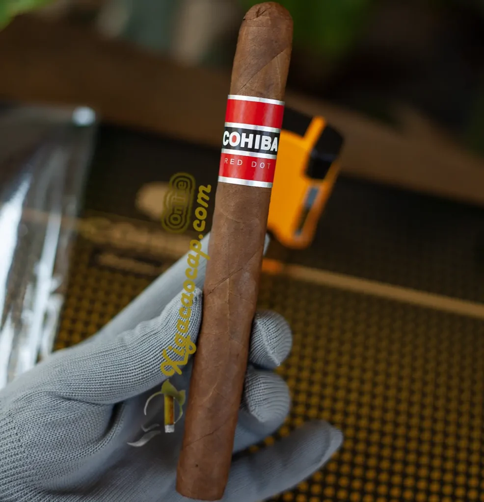 Hình ảnh cầm trên tay điếu cigar Cohiba Red Dot Churchill 7x49