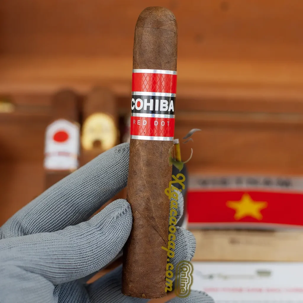 Trên tay điếu xì gà Cohiba Red Dot Robusto sang trọng