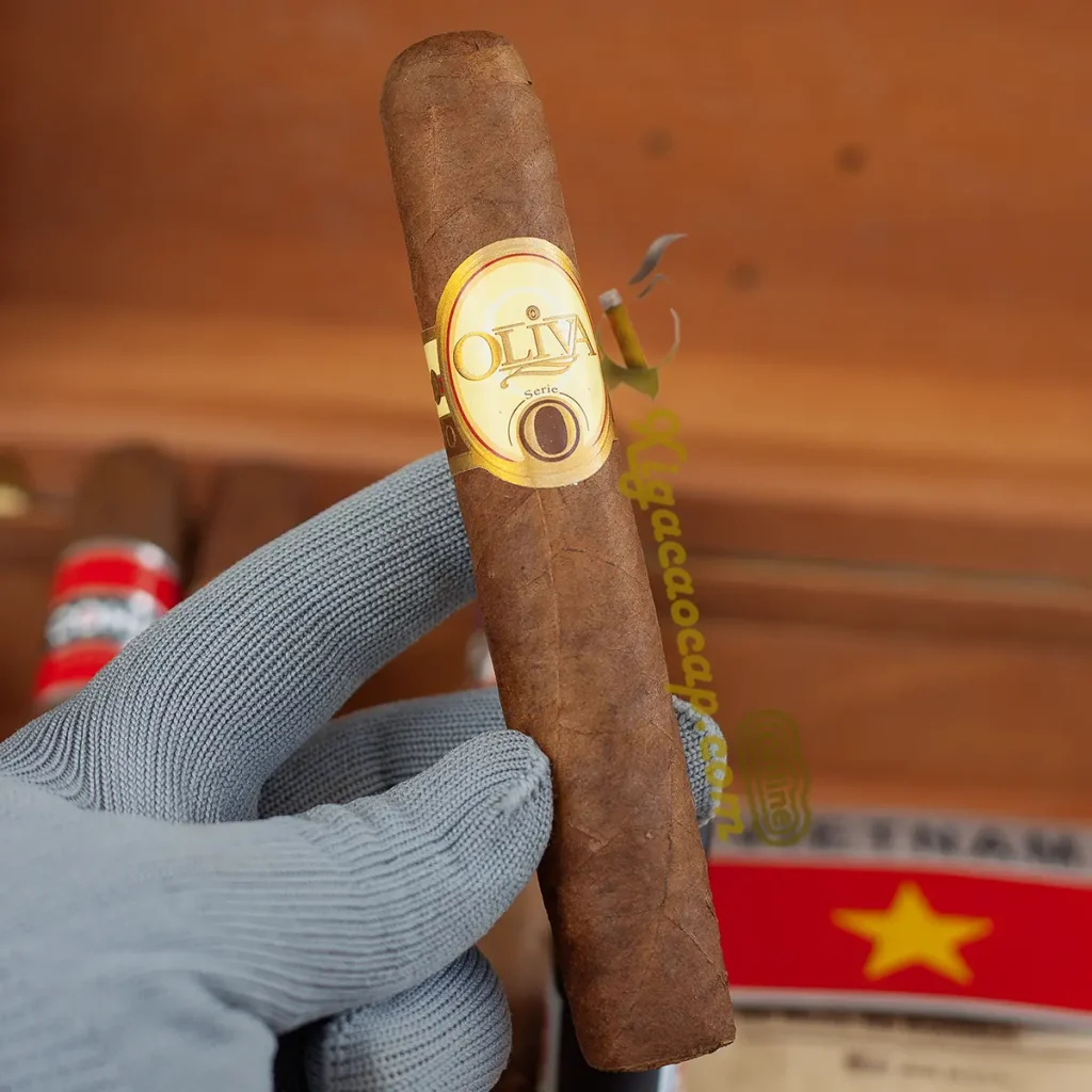 Trên tay điếu xì gà Oliva Serie O Robusto lá quấn Habano Nicaragua
