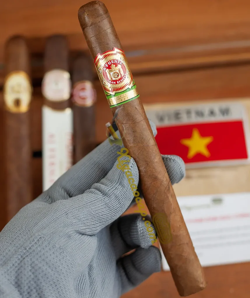 Cầm Trên Tay Điếu Xì Gà Arturo Fuente Churchill Siêu Dài 18,4cm