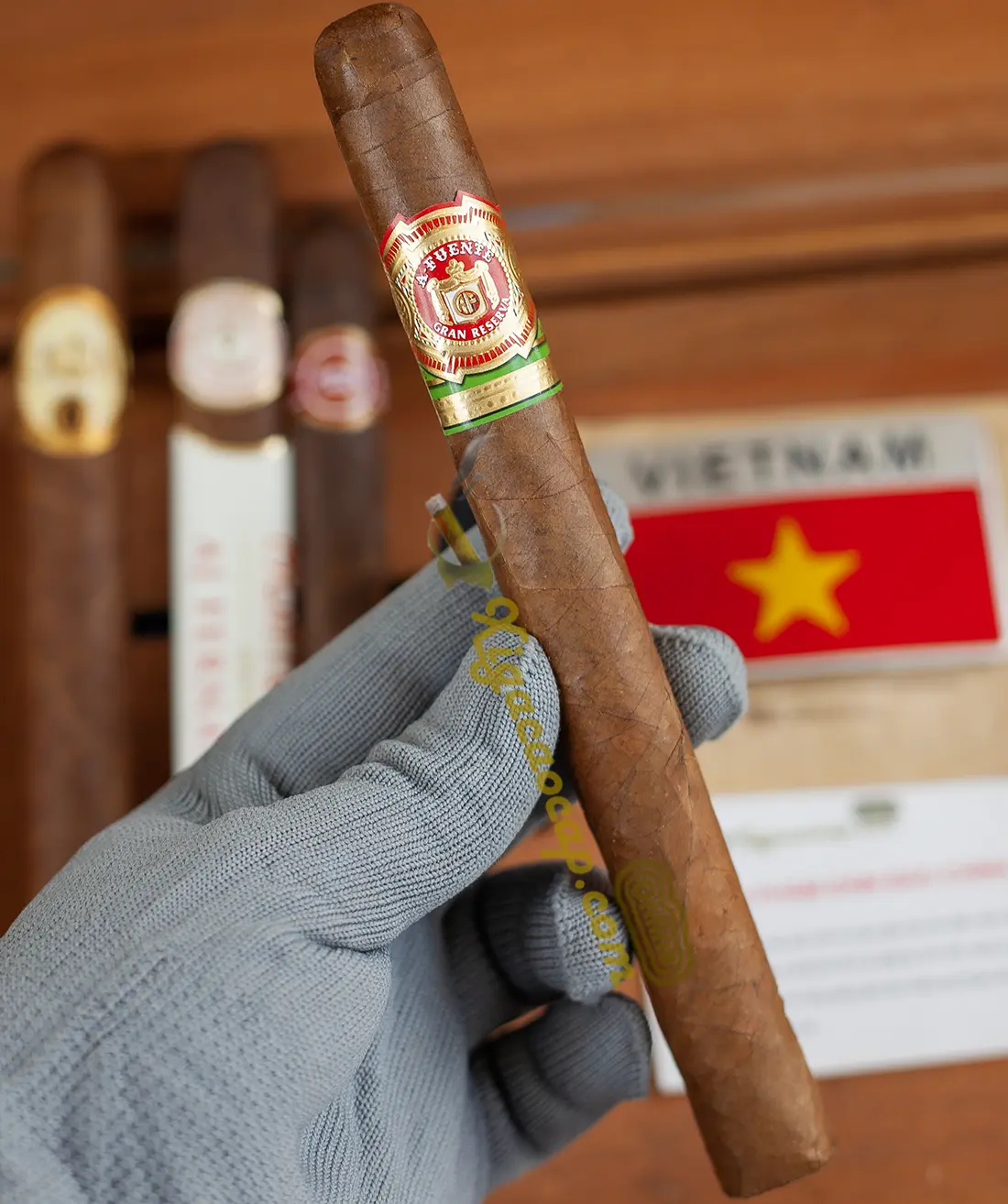 Cầm Trên Tay Điếu Xì Gà Arturo Fuente Churchill Siêu Dài 18,4cm