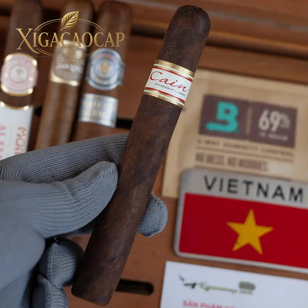 Cầm trên tay điếu cigar Oliva Cain 550 Maduro sẫm màu đậm đà