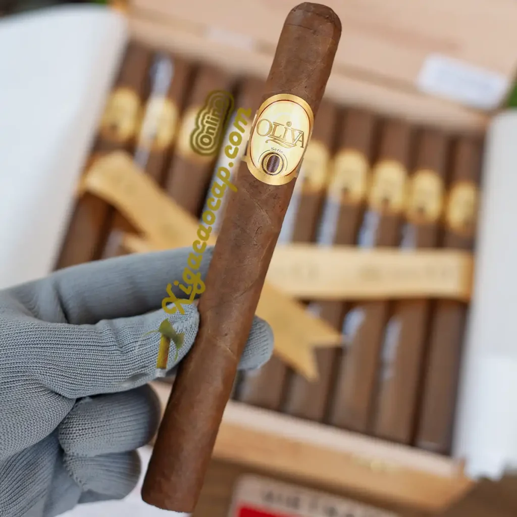 Tren tay 1 dieu xi ga Oliva Serie O Churchill