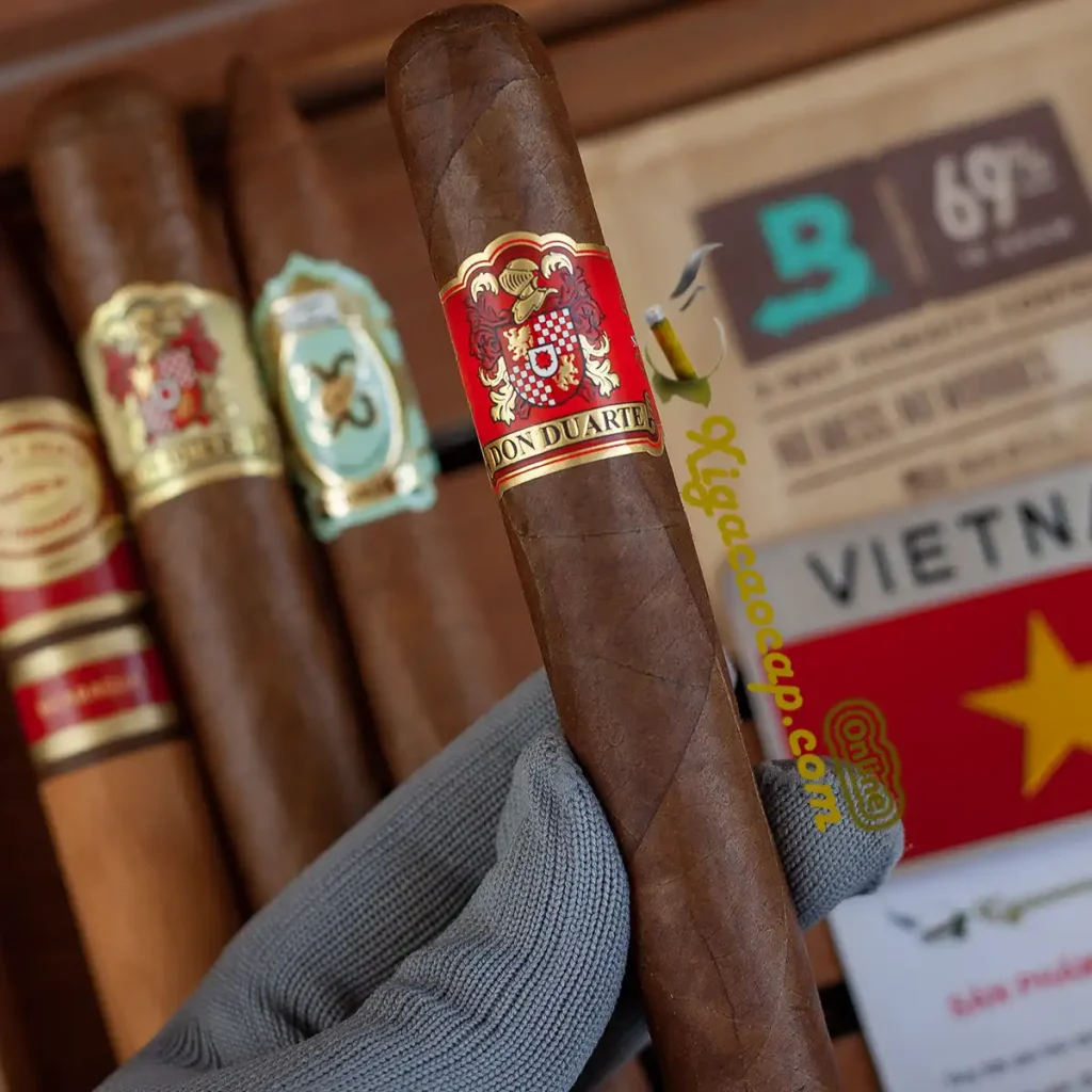 Cầm trên tay điếu xì gà Don Duarte Clasico Golden Red đậm đà