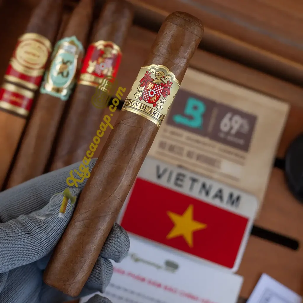 Xì gà Don Duarte Clasico Golden cỡ lớn khói dày trên tay
