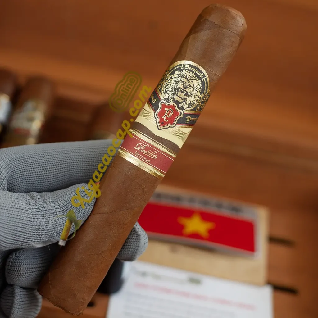 Cầm trên tay xì gà Padilla Dominus Ring 60 chính hãng