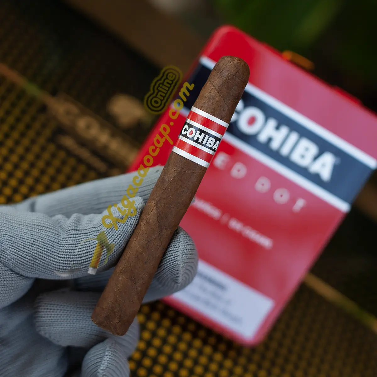 Trên tay điếu xì gà mini Cohiba Red Dot Pequenos kích thước nhỏ gọn