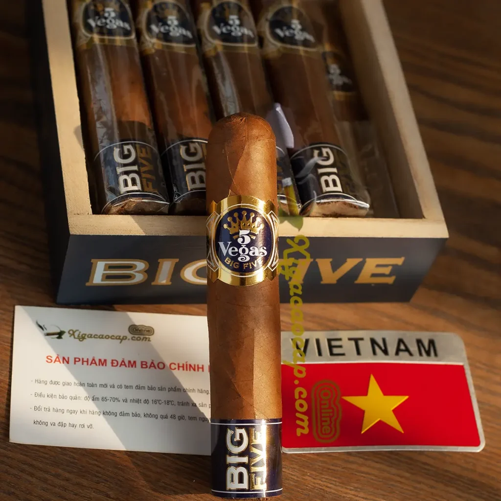 Điếu đơn xì gà 5 Vegas Big Five size Gordo ring 60 đứng cạnh thẻ bảo hành