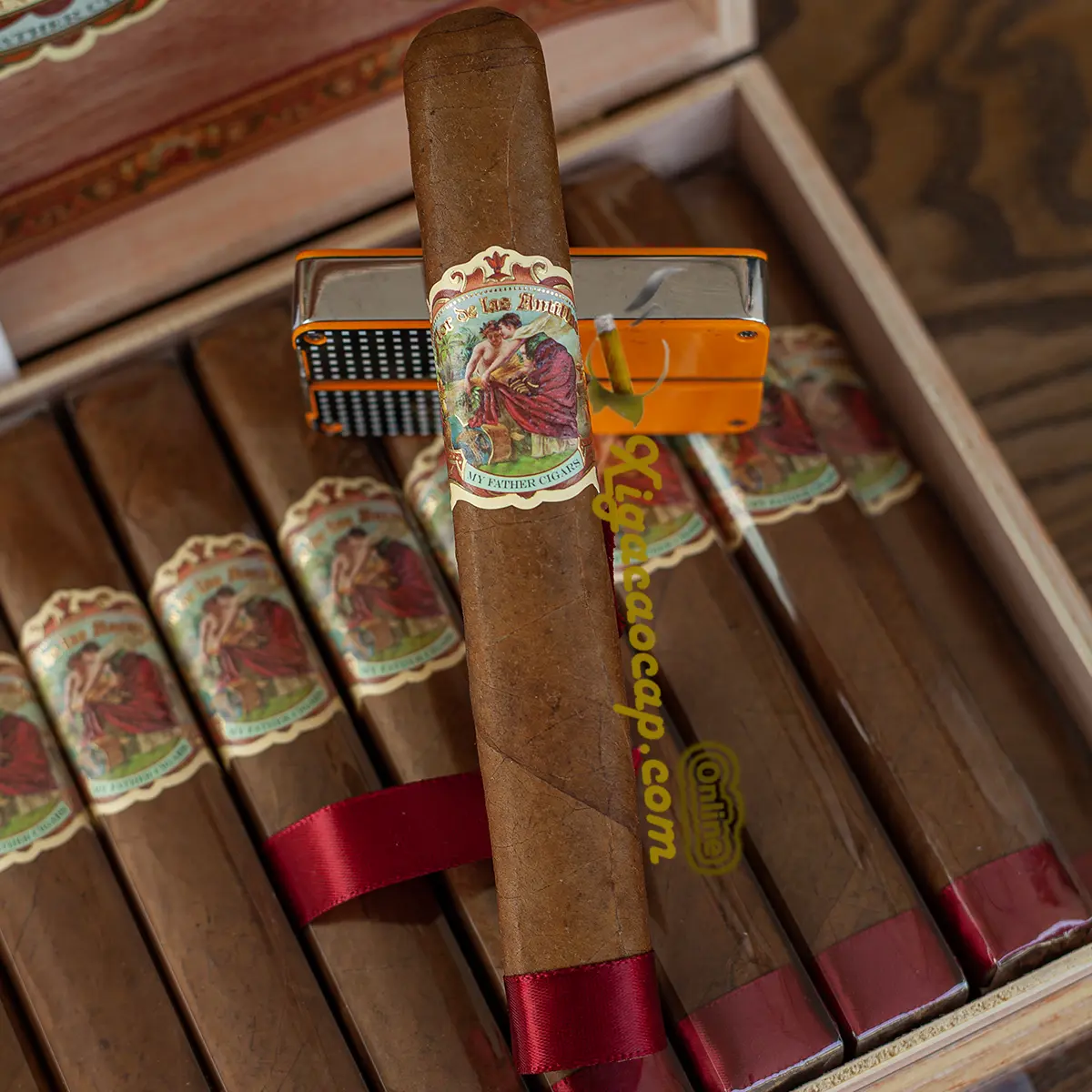 Một điếu xì gà Toro Gordo nổi bật giữa các điếu khác bên trong hộp My Father Flor de Las Antillas mở nắp