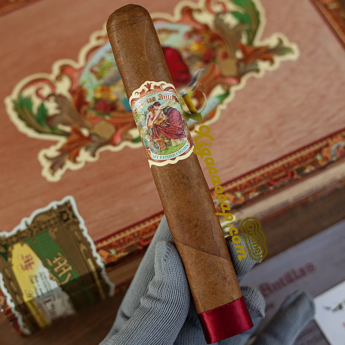 Người chơi cầm trên tay điếu xì gà My Father Flor de Las Antillas Toro Gordo kích thước lớn đầy lịch lãm.