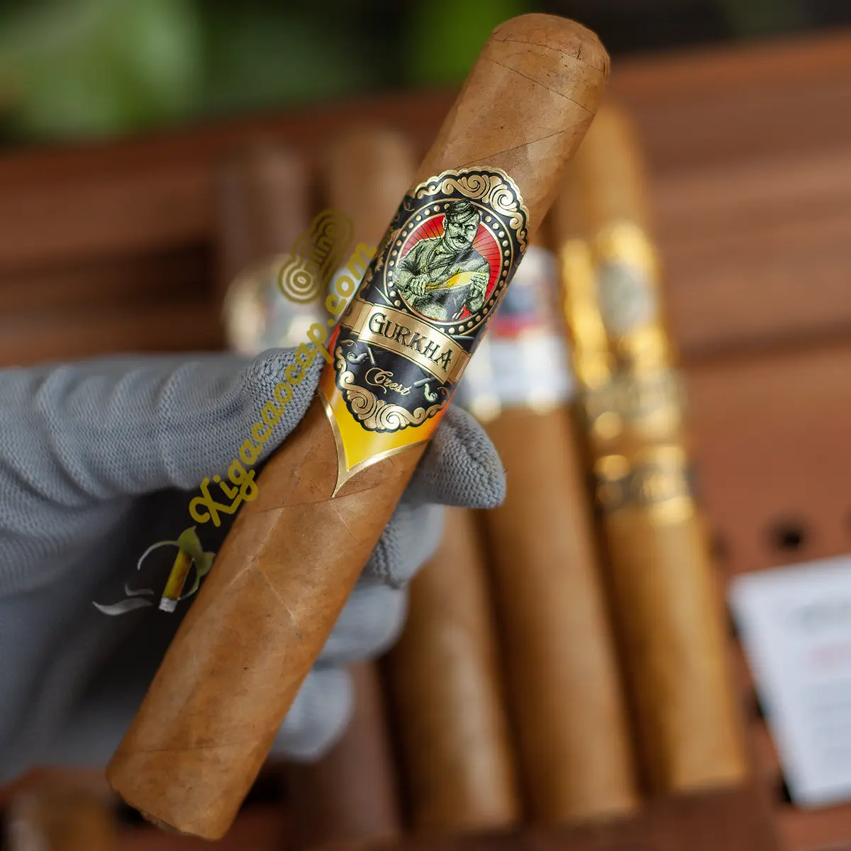 Cầm trên tay điếu Gurkha Crest XO lẻ 1 điếu – xì gà non Cuba cao cấp